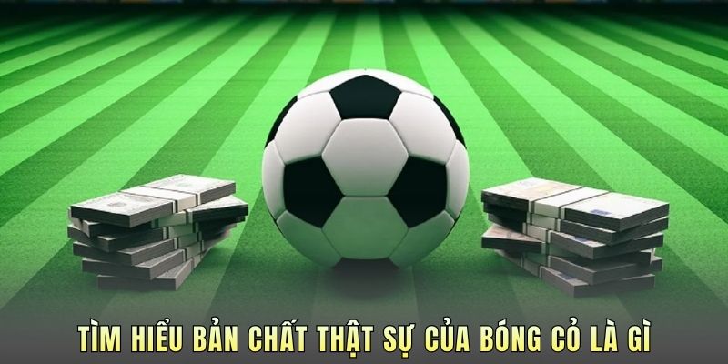 Tìm hiểu bản chất thật sự của bóng cỏ là gì